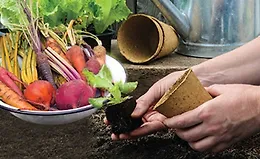 Как вырастить что угодно: садоводство для всех