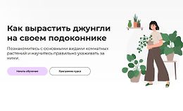 Как вырастить джунгли на своем подоконнике logo