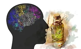 Как выйти из сети пассивного режима мозга с помощью Ароматерапии