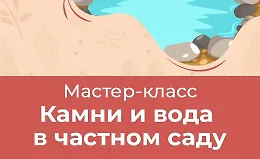 Камни и вода в частном саду