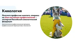Кинология