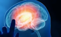 Китайские средства для улучшения деятельности головного мозга или "китайские ноотропы"