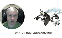 Клещи, комары, клопы и мошка - как защитить людей и животных с помощью эфирных масел?