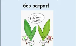 Кормим сад и огород без затрат