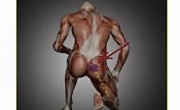 Красивые ягодицы. Импиджмент ТБС. Синдром грушевидной мышцы logo