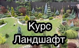 Курс Ландшафт