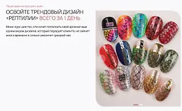 Курс по дизайну «Рептилии»