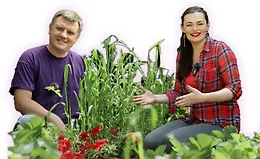 Курс Урожайный. Формат Лёгкий