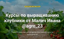 Курсы по выращиванию клубники logo