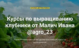 Курсы по выращиванию клубники