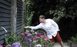 Ландшафтный дизайн (Илья Васецкий)