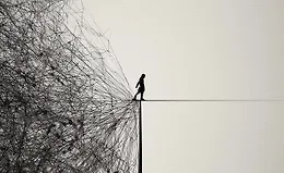 Лжепророки и безумие