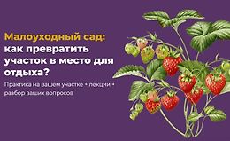 Малоуходный сад: как превратить участок в место для отдыха? logo