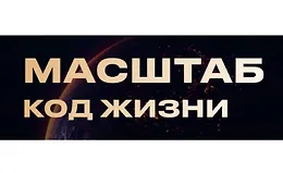 Масштаб. Код жизни