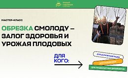 Мастер-класс Обрезка смолоду - залог здоровья и урожая плодовых logo