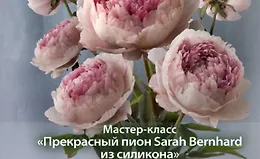 Мастер класс ПИОН из силикона