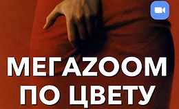 Мегазум по ЦВЕТУ logo