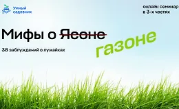 Мифы о газоне. 38 заблуждений о лужайках