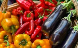 Мир перцев и баклажанов