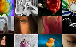 Мобильная фотосъемка и обработка фото