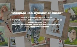 Мокрый нос, пушистый хвост logo