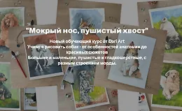 Мокрый нос, пушистый хвост