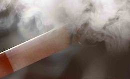 Мозг и зависимость logo