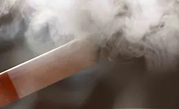 Мозг и зависимость