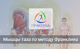 Мышцы таза по методу Франклина logo