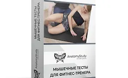 Мышечные тесты для фитнес тренера