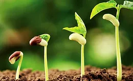 Наука о садоводстве