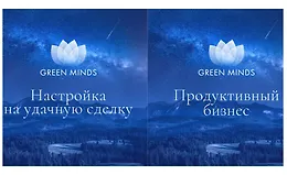 Нейромедитации GREEN MINDS «Настройка на удачную сделку», «Продуктивный бизнес»