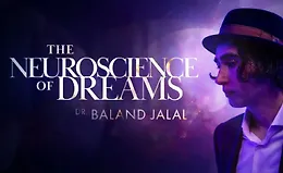 Нейронаука сновидений