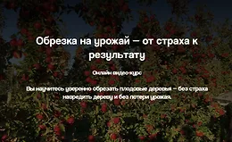 Обрезка на урожай — от страха к результату