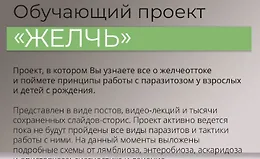 Обучающий проект Желчь
