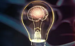 Обучающийся мозг