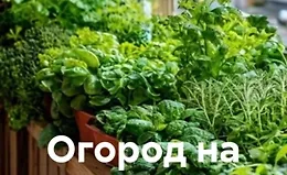 Огород на балконе