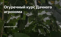 Огуречный Курс
