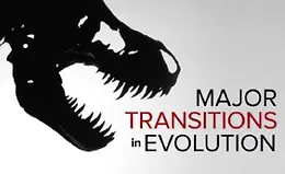 Основные этапы эволюции