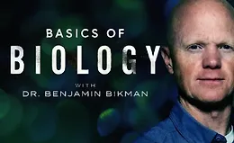 Основы биологии