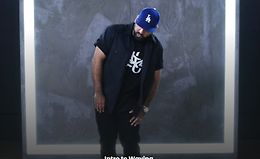 Основы вэйвинга logo