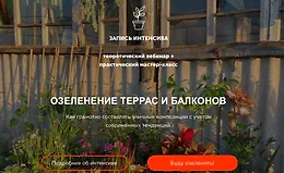 Озеленение террас и балконов