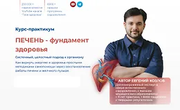 Печень - фундамент здоровья
