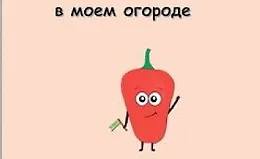 Перцы в моем огороде