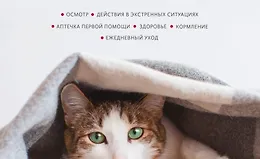 Первая помощь кошкам. Осмотр, действия в экстренных ситуациях, аптечка первой помощи, здоровье, кормление, ежедневный уход