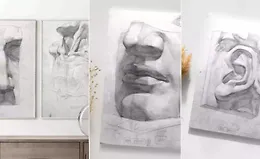 Пластическая анатомия. Большой курс