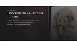 Пластическая анатомия головы