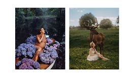 Полный пакет всех пресетов logo