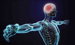 Понимание человеческого тела: Введение в анатомию и физиологию, 2-е издание