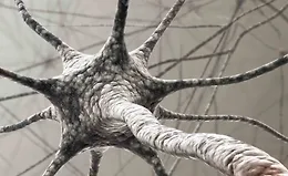 Понимание мозга